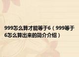 999怎么算才能等于6（999等于6怎么算出來的簡(jiǎn)介介紹）