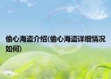偷心海盜介紹(偷心海盜詳細情況如何)
