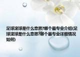 足球滾球是什么意思?哪個(gè)最專業(yè)介紹(足球滾球是什么意思?哪個(gè)最專業(yè)詳細(xì)情況如何)