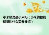 小米精靈是小米嗎（小米的智能精靈叫什么簡介介紹）