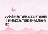 30個(gè)農(nóng)村辦廠項(xiàng)目加工辦廠好項(xiàng)目（農(nóng)村加工辦廠項(xiàng)目有什么簡(jiǎn)介介紹）