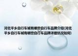 河北平鄉(xiāng)自行車城有哪些自行車品牌介紹(河北平鄉(xiāng)自行車城有哪些自行車品牌詳細(xì)情況如何)