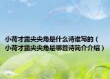 小荷才露尖尖角是什么詩誰寫的（小荷才露尖尖角是哪首詩簡介介紹）