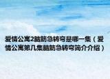 愛情公寓2腦筋急轉(zhuǎn)彎是哪一集（愛情公寓第幾集腦筋急轉(zhuǎn)彎簡介介紹）