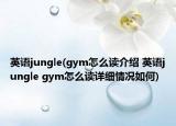 英語jungle(gym怎么讀介紹 英語jungle gym怎么讀詳細(xì)情況如何)