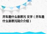 開車是什么意思污 文字（開車是什么意思污簡介介紹）