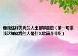 像我這樣優(yōu)秀的人出自哪首歌（第一句像我這樣優(yōu)秀的人是什么歌簡(jiǎn)介介紹）