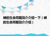 蟬的生命周期簡介介紹一下（蟬的生命周期簡介介紹）