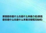 那首歌你是什么也是什么來著介紹(那首歌你是什么也是什么來著詳細情況如何)