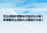 怎么訓練薩摩耶幼犬定點大小便（薩摩耶怎么訓練大小便簡介介紹）