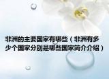 非洲的主要國(guó)家有哪些（非洲有多少個(gè)國(guó)家分別是哪些國(guó)家簡(jiǎn)介介紹）