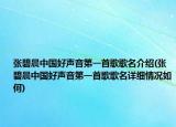 張碧晨中國好聲音第一首歌歌名介紹(張碧晨中國好聲音第一首歌歌名詳細情況如何)