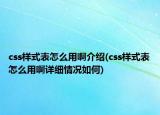 css樣式表怎么用啊介紹(css樣式表怎么用啊詳細(xì)情況如何)