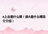 a上去是什么梗（很A是什么梗簡介介紹）
