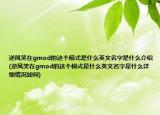 逆風(fēng)笑在gmod的這個(gè)模式是什么英文名字是什么介紹(逆風(fēng)笑在gmod的這個(gè)模式是什么英文名字是什么詳細(xì)情況如何)