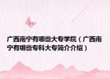 廣西南寧有哪些大專學(xué)院（廣西南寧有哪些?？拼髮：喗榻榻B）