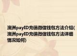 澳洲payID充值微信錢(qián)包方法介紹(澳洲payID充值微信錢(qián)包方法詳細(xì)情況如何)