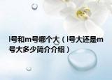 l號和m號哪個大（l號大還是m號大多少簡介介紹）