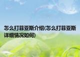怎么打菲亞斯介紹(怎么打菲亞斯詳細情況如何)