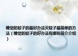 睡覺防蚊子的最好辦法滅蚊子最簡(jiǎn)單的方法（睡覺防蚊子的好辦法有哪些簡(jiǎn)介介紹）