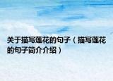 關(guān)于描寫蓮花的句子（描寫蓮花的句子簡(jiǎn)介介紹）