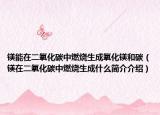 鎂能在二氧化碳中燃燒生成氧化鎂和碳（鎂在二氧化碳中燃燒生成什么簡(jiǎn)介介紹）