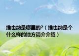 維也納是哪里的?（維也納是個(gè)什么樣的地方簡(jiǎn)介介紹）