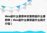 thin是什么意思中文意思是什么意思?。╰hin是什么意思是什么簡介介紹）