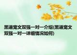 黑道寵文雙強(qiáng)一對一介紹(黑道寵文雙強(qiáng)一對一詳細(xì)情況如何)