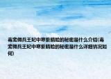 毒寵傭兵王妃中寒紫晴臉的秘密是什么介紹(毒寵傭兵王妃中寒紫晴臉的秘密是什么詳細(xì)情況如何)