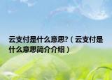 云支付是什么意思?（云支付是什么意思簡介介紹）