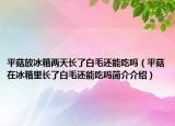 平菇放冰箱兩天長了白毛還能吃嗎（平菇在冰箱里長了白毛還能吃嗎簡介介紹）