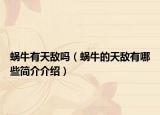 蝸牛有天敵嗎（蝸牛的天敵有哪些簡(jiǎn)介介紹）