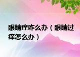 眼睛癢咋么辦（眼睛過癢怎么辦）