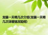 龍貓一天喂幾次介紹(龍貓一天喂幾次詳細情況如何)