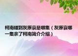 柯南碰到灰原哀是哪集（灰原哀哪一集親了柯南簡介介紹）