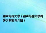 葫蘆島啥大學(xué)（葫蘆島的大學(xué)有多少啊簡介介紹）