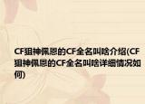 CF狙神佩恩的CF全名叫啥介紹(CF狙神佩恩的CF全名叫啥詳細(xì)情況如何)