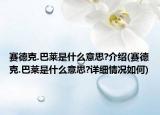 賽德克.巴萊是什么意思?介紹(賽德克.巴萊是什么意思?詳細(xì)情況如何)