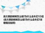 良太郎的姐姐怎么啦?為什么會(huì)失憶?介紹(良太郎的姐姐怎么啦?為什么會(huì)失憶?詳細(xì)情況如何)