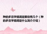 種的多音字組詞是那些有幾個(gè)（種的多音字組詞是什么簡(jiǎn)介介紹）