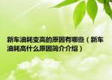 新車油耗變高的原因有哪些（新車油耗高什么原因簡介介紹）