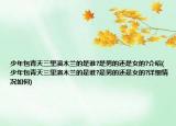 少年包青天三里演木蘭的是誰?是男的還是女的?介紹(少年包青天三里演木蘭的是誰?是男的還是女的?詳細情況如何)