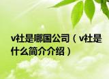 v社是哪國公司（v社是什么簡介介紹）