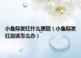 小魚際發(fā)紅什么原因（小魚際發(fā)紅應(yīng)該怎么辦）