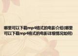 哪里可以下載mp4格式的電影介紹(哪里可以下載mp4格式的電影詳細情況如何)