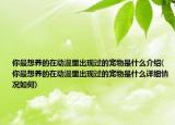 你最想養(yǎng)的在動(dòng)漫里出現(xiàn)過(guò)的寵物是什么介紹(你最想養(yǎng)的在動(dòng)漫里出現(xiàn)過(guò)的寵物是什么詳細(xì)情況如何)