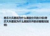 奇志大兵是因為什么原因分開的介紹(奇志大兵是因為什么原因分開的詳細(xì)情況如何)