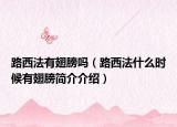 路西法有翅膀嗎（路西法什么時(shí)候有翅膀簡(jiǎn)介介紹）