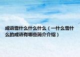 成語雪什么什么什么（一什么雪什么的成語有哪些簡介介紹）